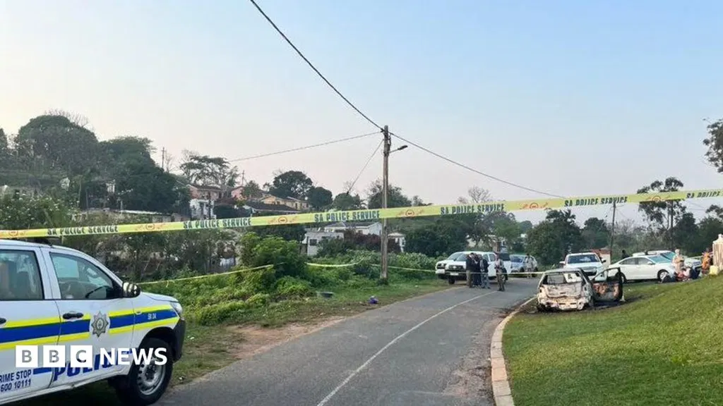 Eleven killed in mass shooting at house in South Africa