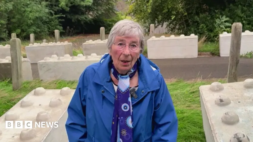 Council's 'Lego-type blocks' anger fenced-in woman