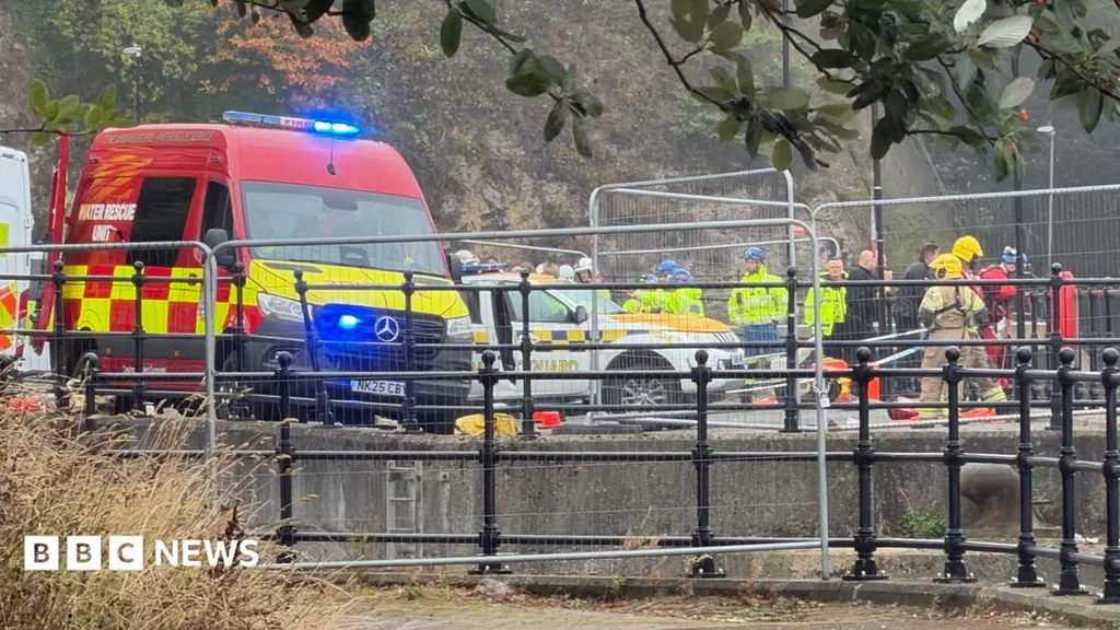 Three teenagers die after car enters river