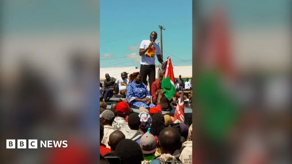 How Gen Z TikToks are shaping Kenyan politics