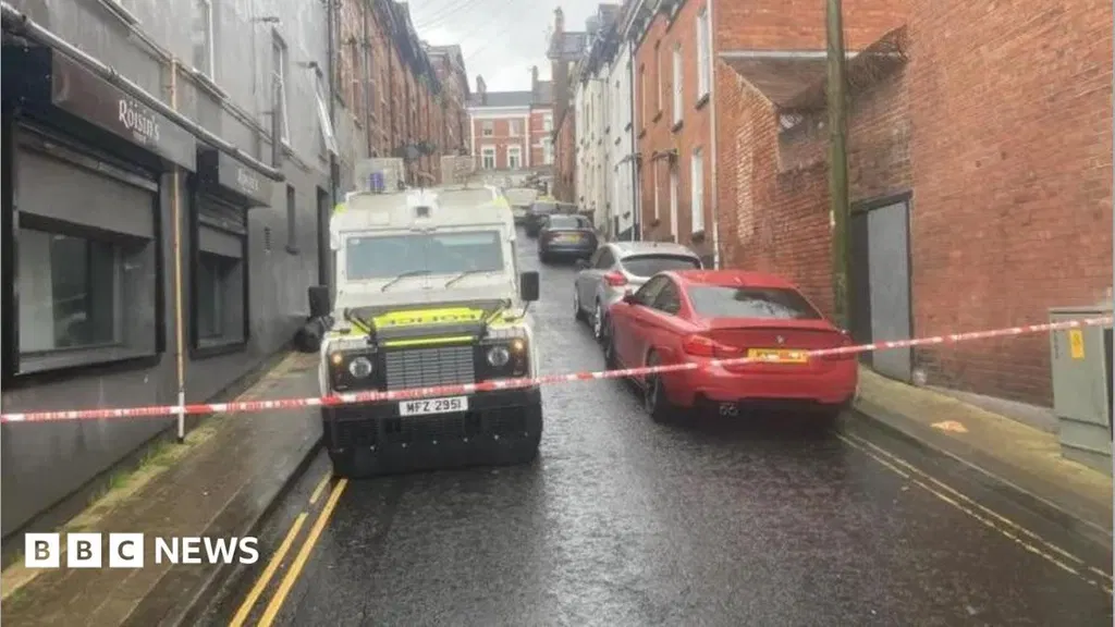 Man admits to killing woman in Londonderry, court hears