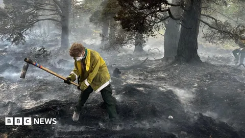 'Apocalyptic' damage as Cairngorms wildfire burns for two weeks