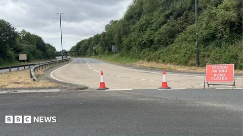 Pedestrian dies after being hit by several vehicles including police car