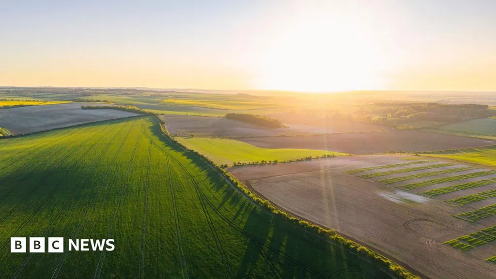 Farmers' fury at online scramble for £233m funding