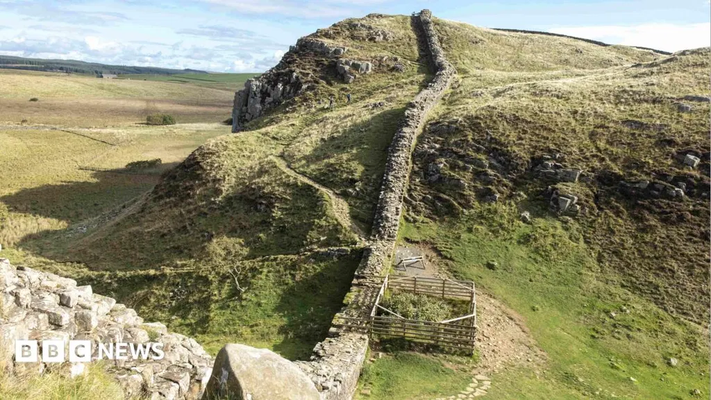 Felled Sycamore Gap stump has 'encouraging' growth