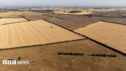 Further drought could cause shortage of certain foods, head of farmers' union says