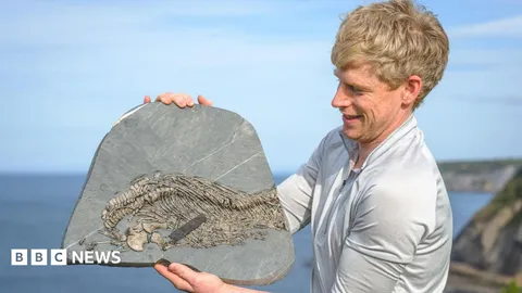 Mountaineer who took up fossil hunting after avalanche discovers rare 'sea dragon'