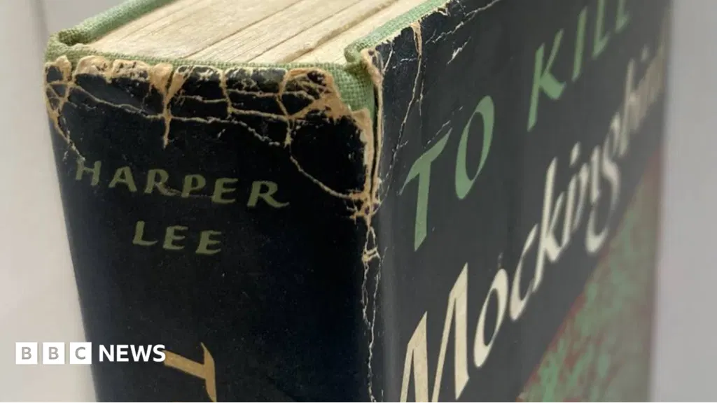 Harper Lee first edition novel found in Oxfam shop