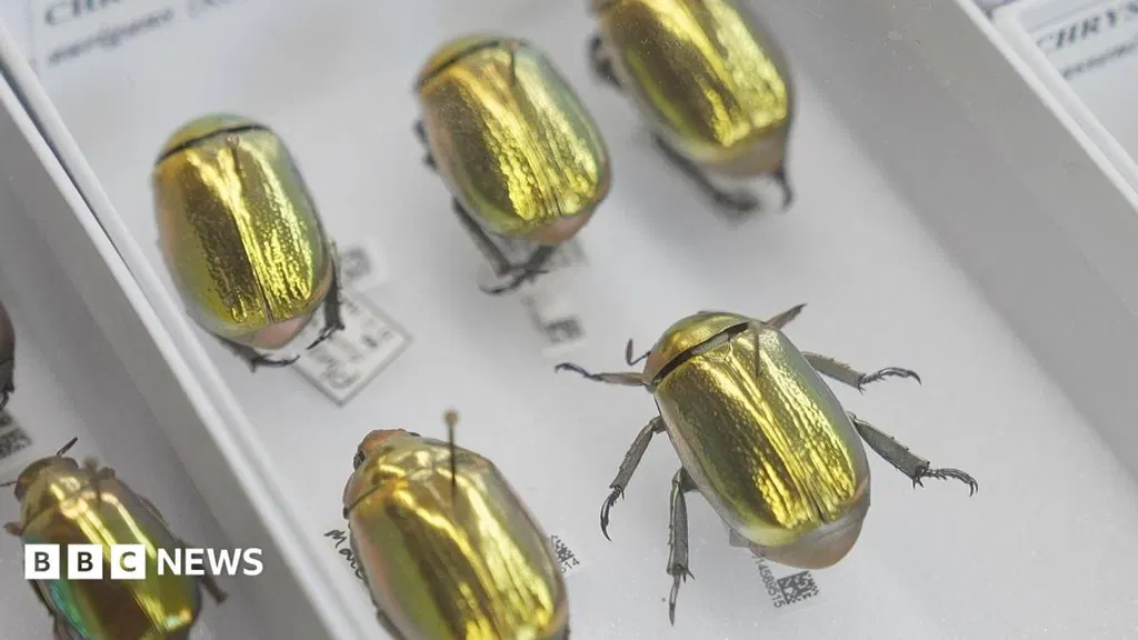 How AI is creating a UK super-museum and revealing our planet's history