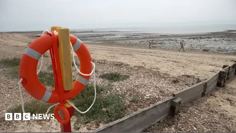 Beach tragedy family backs calls for safety review