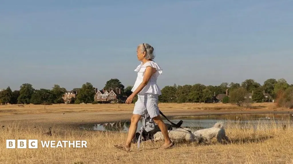 Sunshine returns to parts of UK with warmer and drier weather on way