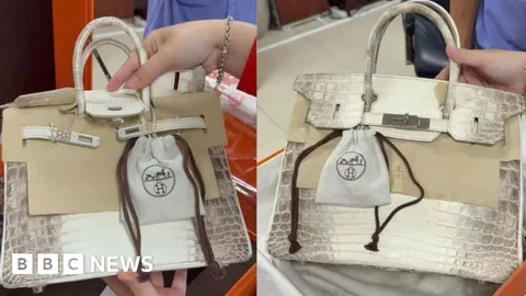 Jailed Vietnamese tycoon's Birkin bags sells for more than $550K