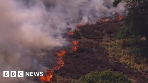 Aerial footage shows wildfire tearing through Suffolk heathland