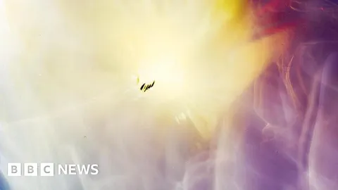 Student uses space cosmic rays to make photographs