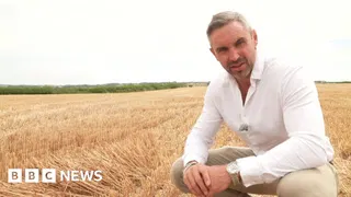 How the dry weather affects your supermarket shop
