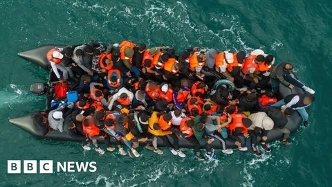 Man pleads guilty over deaths of four migrants