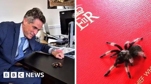 Gavin Williamson announces death of pet tarantula