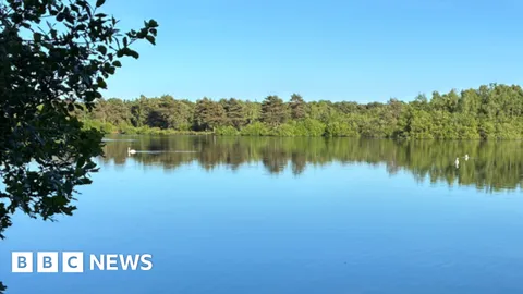 Body found after boy, 15, went missing in nature reserve lake