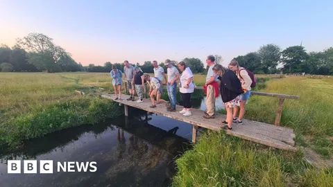 Project to bring wildlife closer to city people