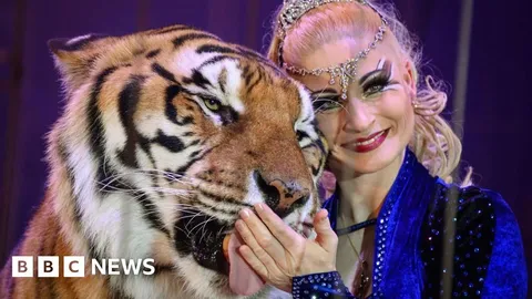 Escaped tiger shot by German police after attacking man