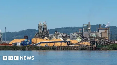 One killed and others missing after chemical explosion at US paper mill