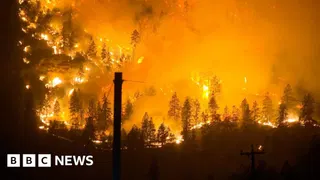 'That fire came so fast': Wildfire rages in British Columbia