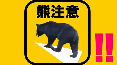 人が住む集落で…ツキノワグマ2頭を捕獲し殺処分されていた 奈良・下北山村