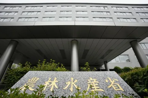 コメ民間在庫が過去最大の243万トンに達し、価格下落が加速する見通し