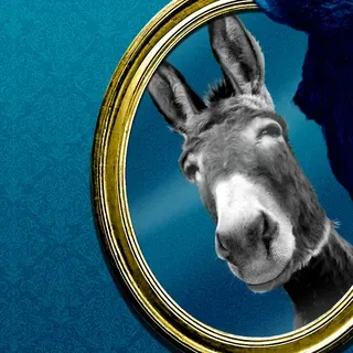 Democrats finally release 2024 election autopsy after criticism