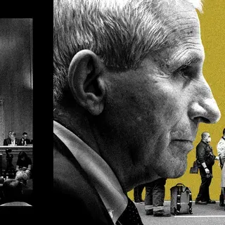 Fauci's legal woes could deter scientists from government service