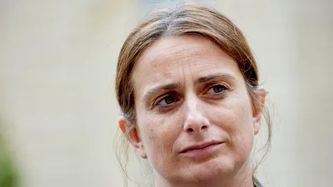 "Il va falloir des actions fortes": face aux incendies, Marine Tondelier réclame une réunion de crise des forces politiques