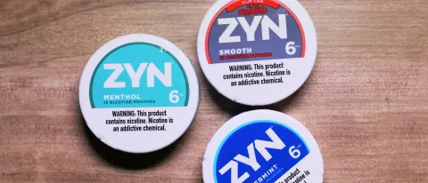 France Bans Nicotine Pouches In Latest Assault On Freedom