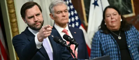 JD Vance Is Finally Crushing The Fraudsters