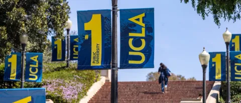 University Professors Beg For Return Of Standardized Tests As Students Can’t Do Basic Math