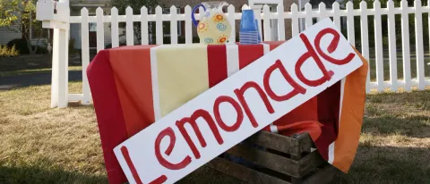 ‘It’s Horrific’: Children’s Lemonade Stand Allegedly Robbed At Gunpoint By Two Juveniles