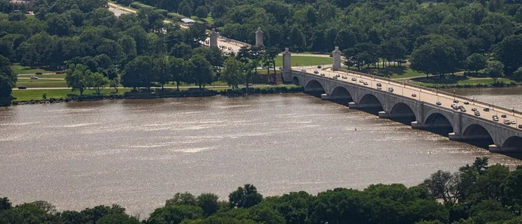 Extreme Heat Wave Triggers Fish Kill In Potomac River After Water Temperatures Hit Record-Breaking 94 Degrees