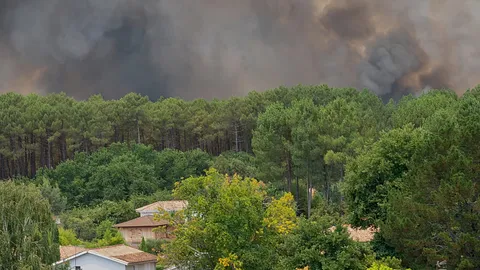France: Massive blaze engulfs Cap Ferret forests as thousands evacuated