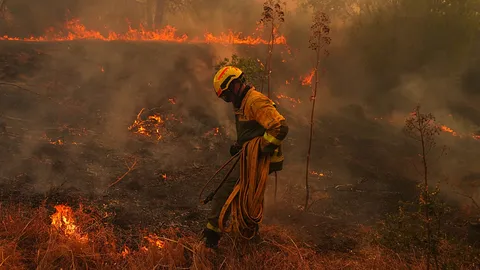 Spain wildfires leave destruction across Ávila province