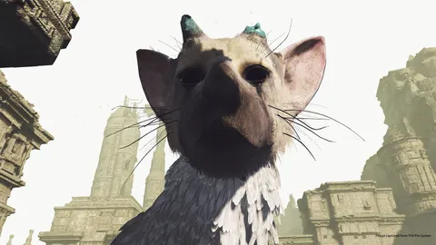 Era davvero un capolavoro? The Last Guardian dieci anni dopo
