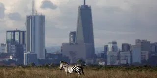 Uber removes its branding from Uber Safari 4x4 vehicles in Nairobi National Park due to safety concerns and fierce pushback from local guides and tour operators (Caroline Kimeu/Wall Street Journal)