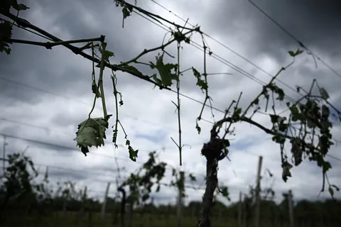 Are hailstones getting bigger due to climate change?