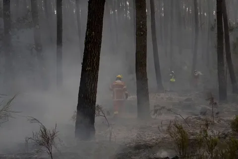 Thousands of firefighters are battling the monster blaze near Bordeaux. Their commanders are dealing with a huge coordination challenge