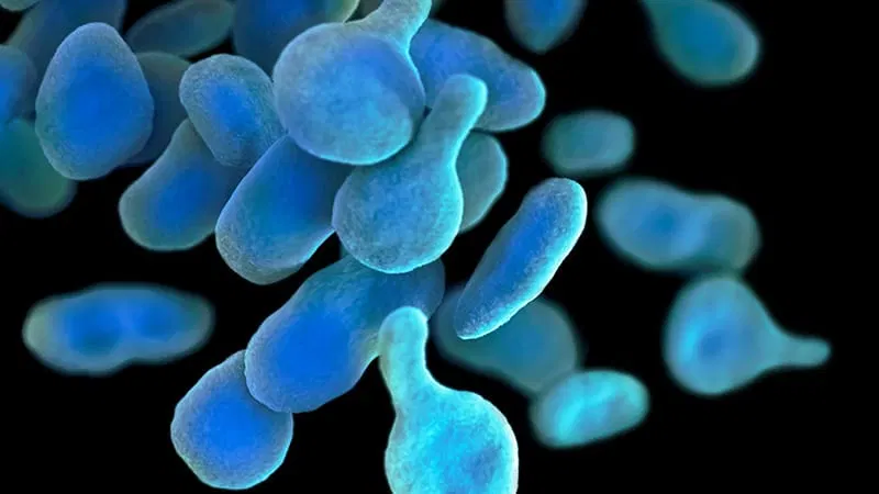 Moxifloxacin Outperforms Azithromycin in M genitalium Cure