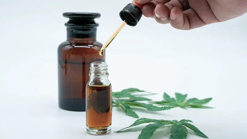 How Cannabis Compounds May Help Create Weight-Loss Drugs