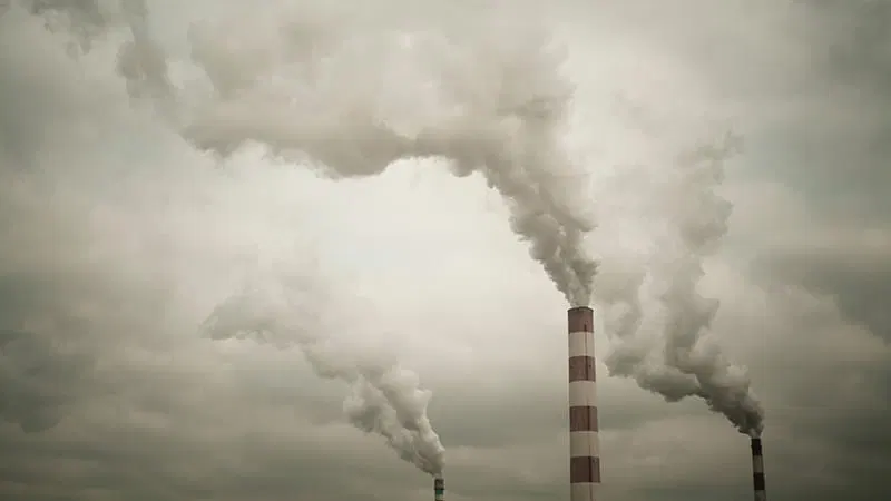 Air Pollution Tied to Poor Valvular Heart Disease Outcomes