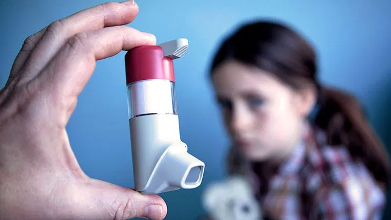 Alternaria Allergy in Youth Signals Lasting Asthma Risk