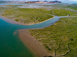 (URGENT) More S. Korean tidal flats gain UNESCO World Heritage status