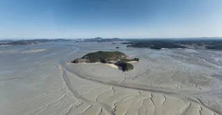 (LEAD) More S. Korean tidal flats gain UNESCO World Heritage status