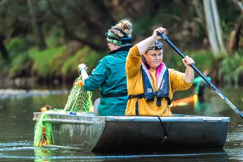 An Australian icon, the platypus is struggling — and scientists still lack answers