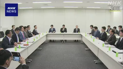 給付付き税額控除 対象の所得水準や軽減方法など詰めの調整へ